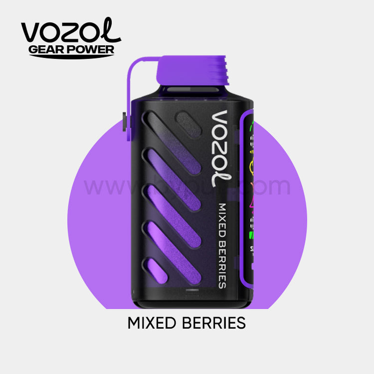 Vozol Gear Power 20000 Mixed Berries