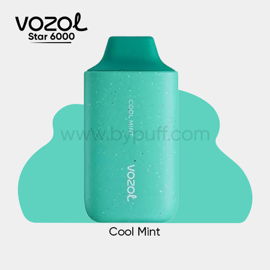 Vozol 6000 Cool Mint